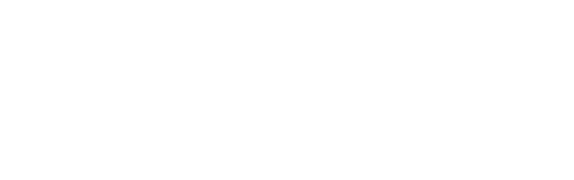 Elettrica Andreoli Logo